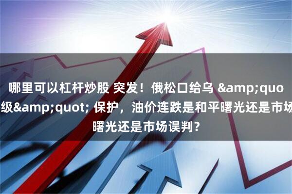 哪里可以杠杆炒股 突发！俄松口给乌 &quot;北约级&quot; 保护，油价连跌是和平曙光还是市场误判？