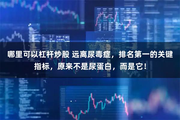 哪里可以杠杆炒股 远离尿毒症，排名第一的关键指标，原来不是尿蛋白，而是它！